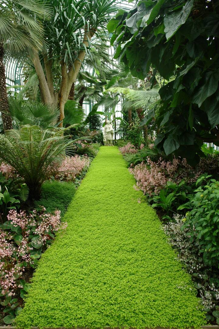 Aquascapes Design Inc.