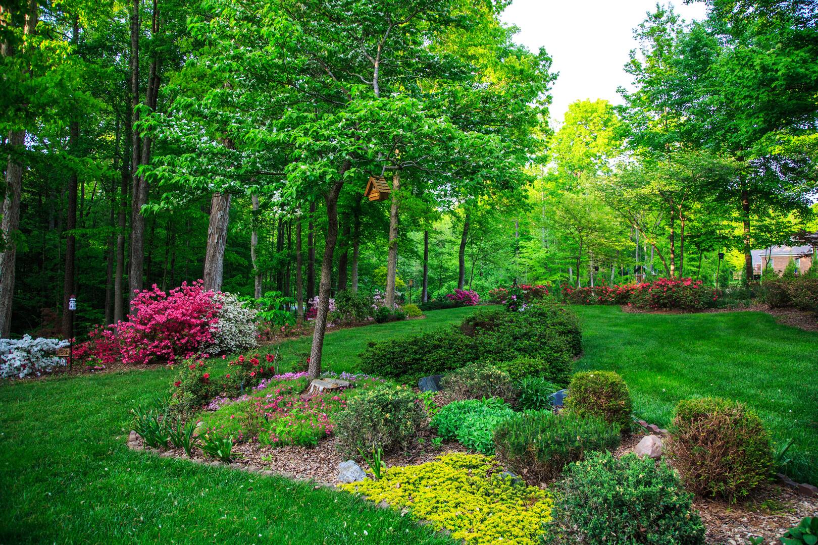 Doug Boese LLC