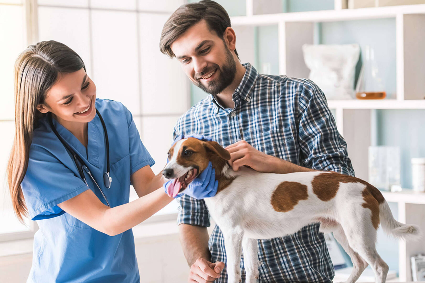 Animal Care Hospital