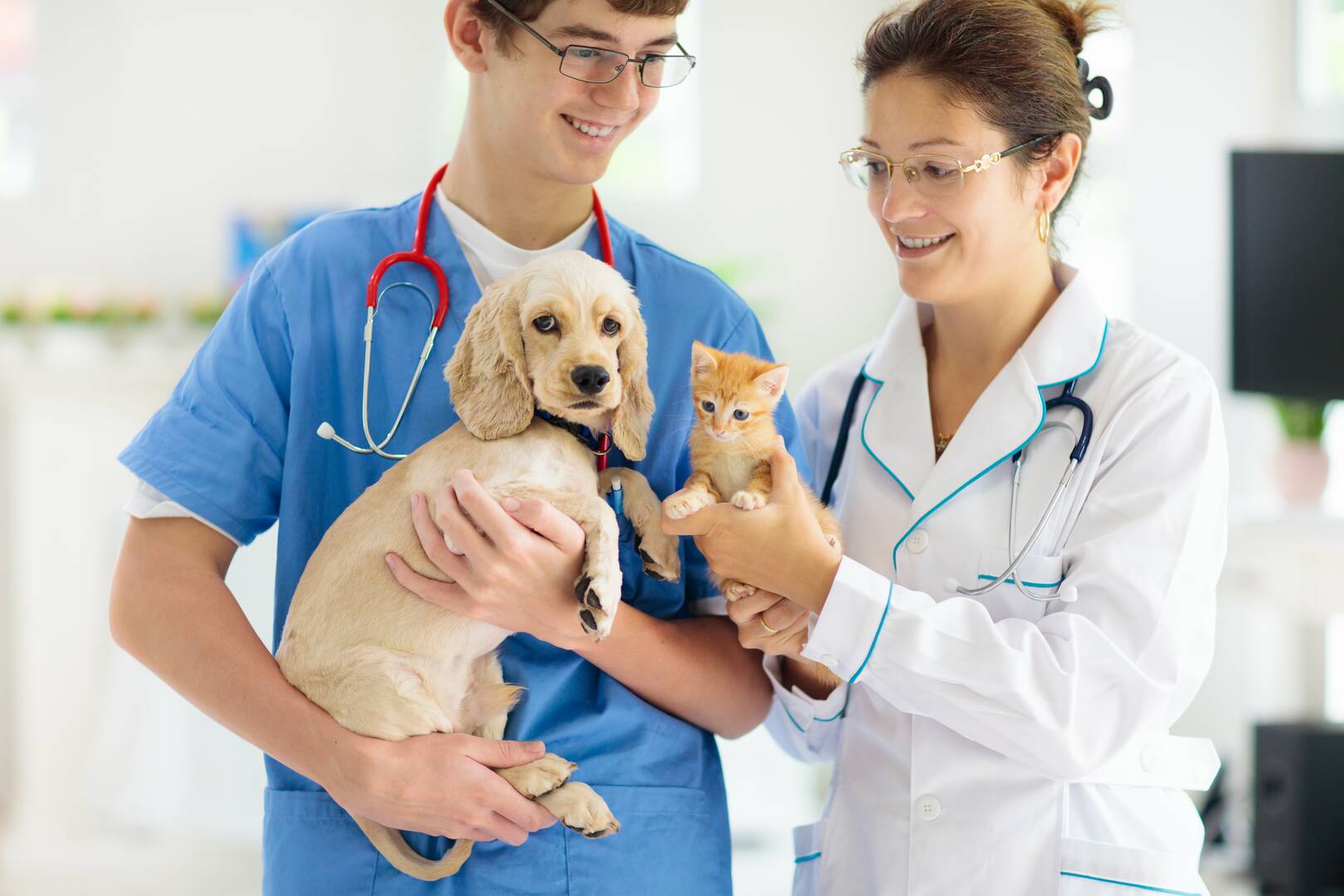 Great Southern Animal Hospital