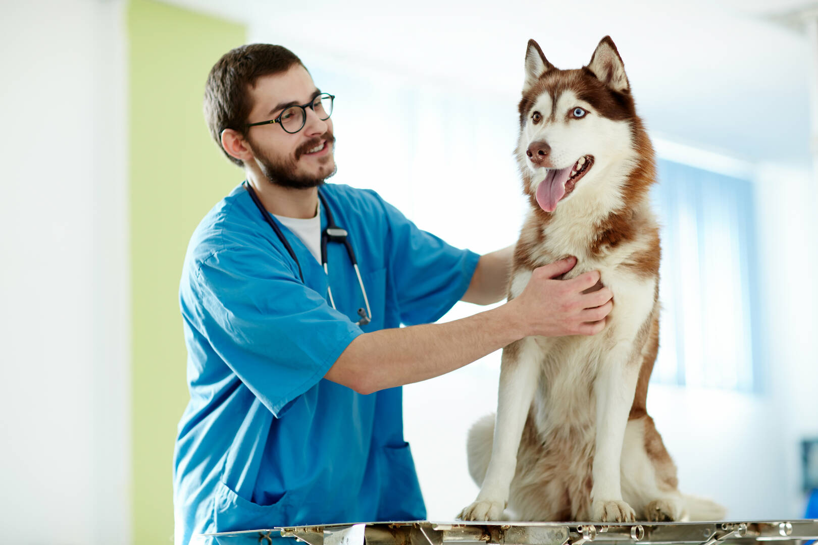 Baywood Animal Hospital