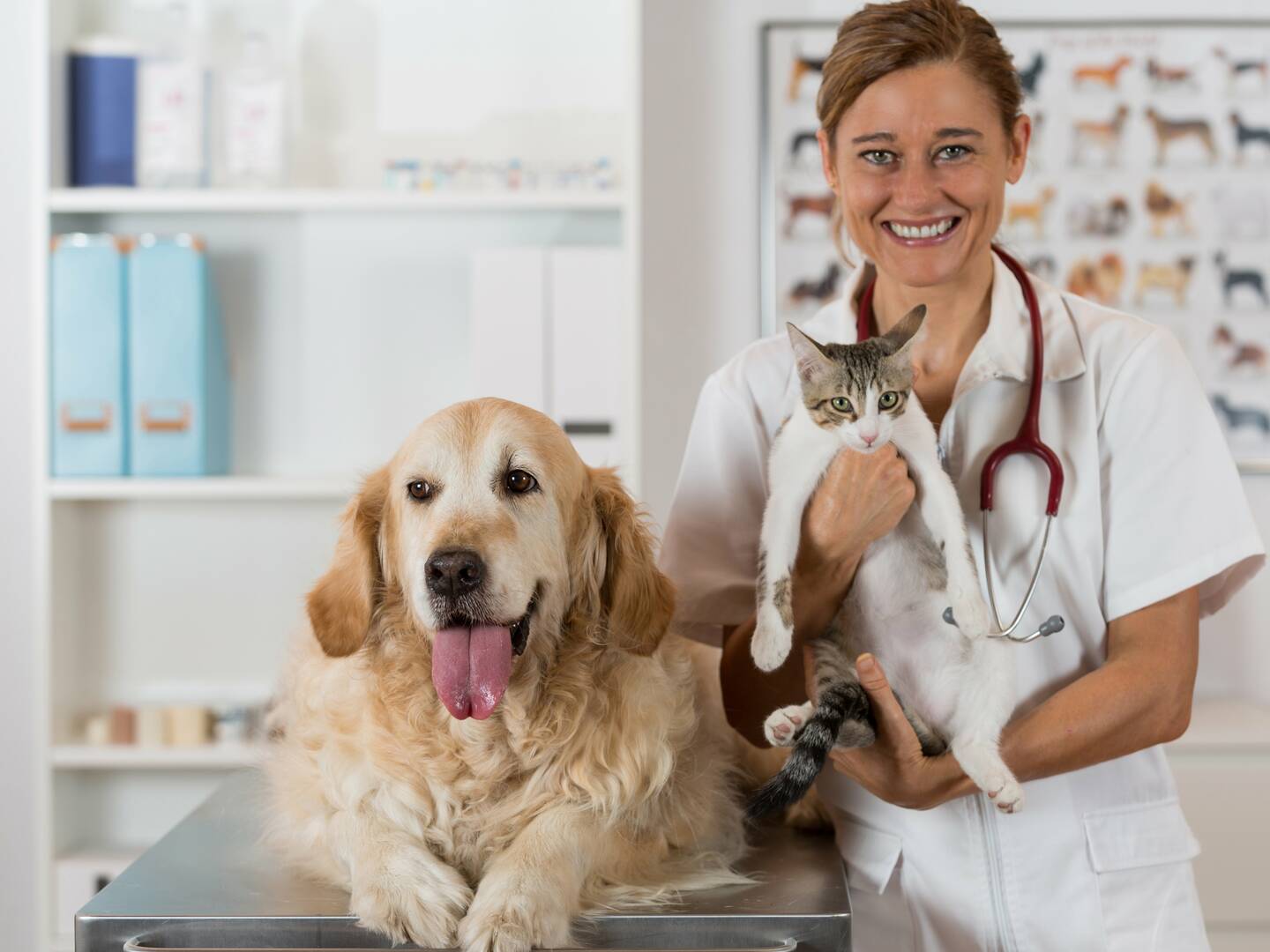 Penn-Ohio Veterinary Services