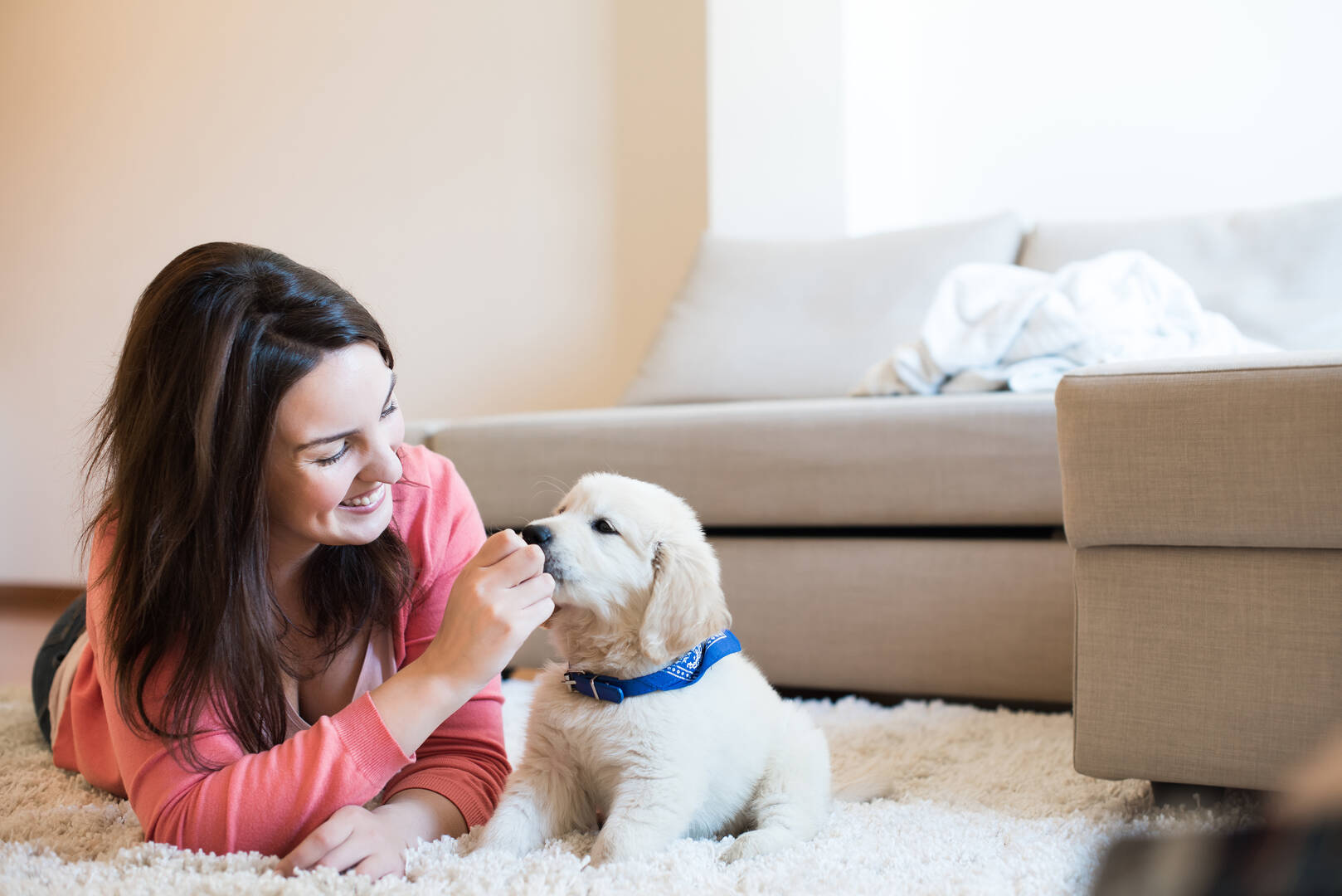 Beaver Dam Veterinary Clinic